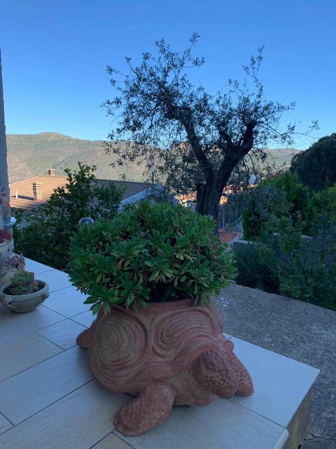 مبيت وإفطار Ussàssai Il Vecchio Ulivo Sa Tanca المظهر الخارجي الصورة